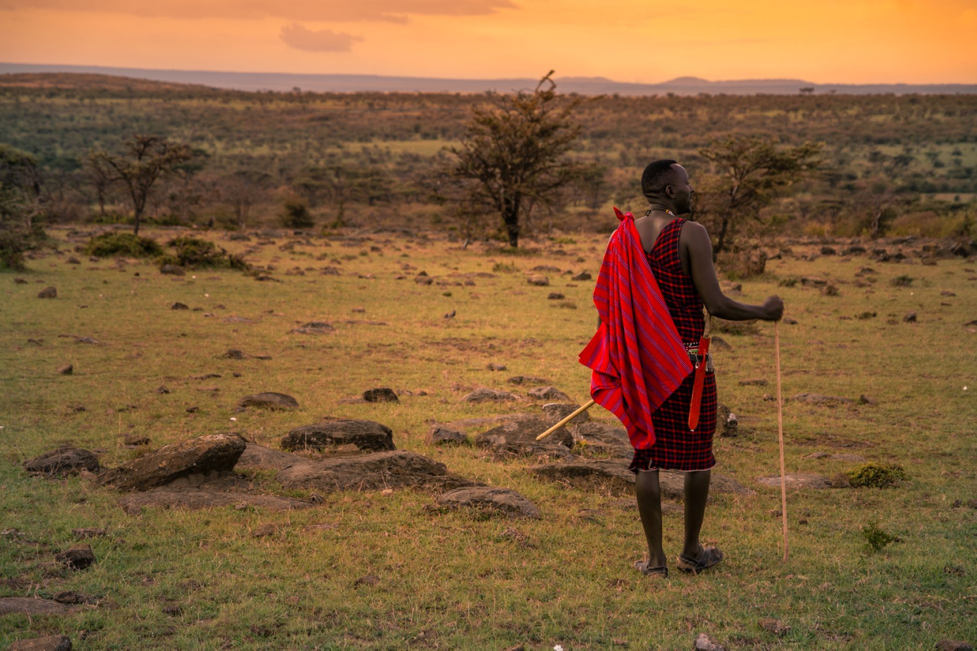 Safari à pied au Zebra Plains
